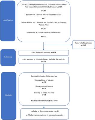 Resilience and adolescence-transition in youth with developmental disabilities and their families: a scoping review